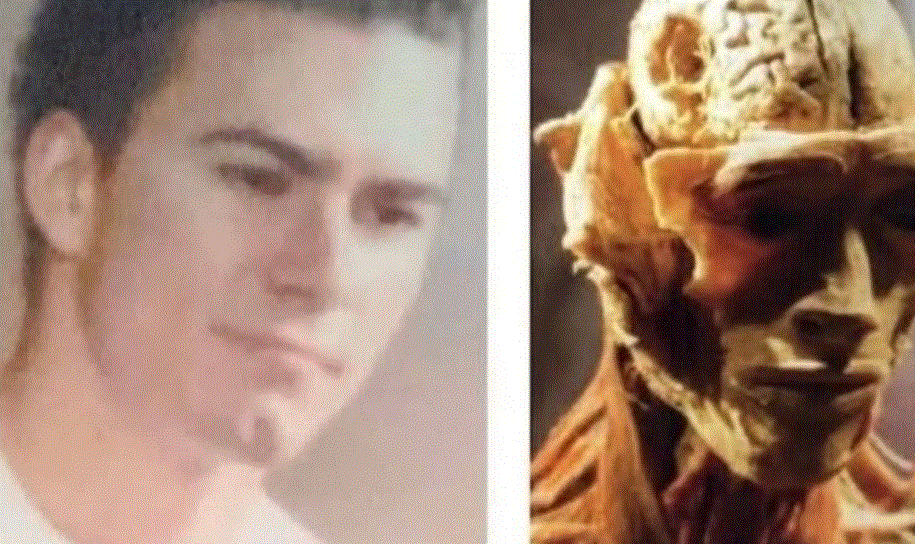 Terror en la vitrina: una madre asegura haber reconocido a su hijo desaparecido en una exposición anatómica en las vegas